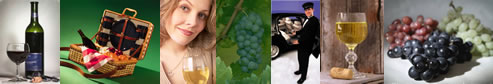 Long Island Winery Tours - New York State Wine Tours - specializing in limousine services for wine tasting in the Long Island, New York area.  Tours featuring professional chauffeurs, luxury sedans, stretch limousines, vans, more.